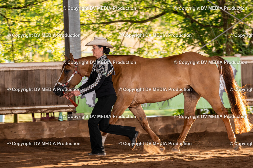 Erbach Tag 3-11 | dv-media-shop - Realisiert mit Pictrs.com