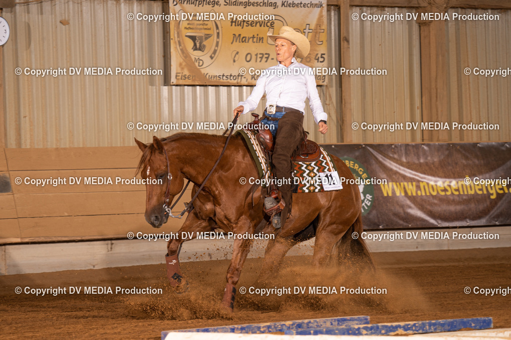 NID01189 | dv-media-shop - Realisiert mit Pictrs.com