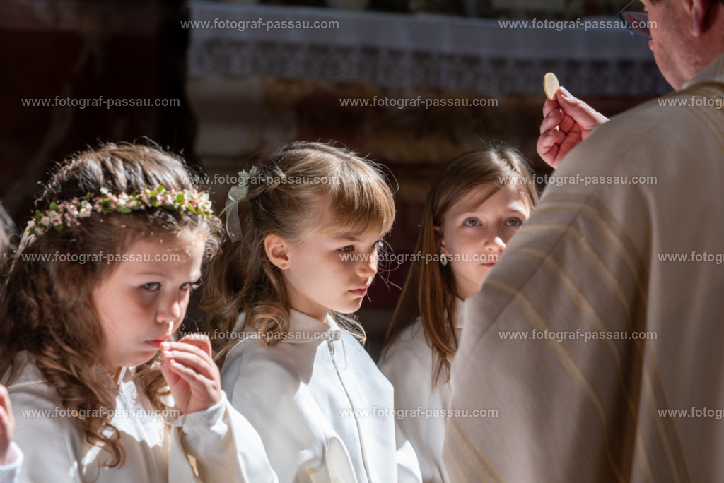 _DSC2730 | Hier finden Sie die Online Foto-Galerie von fotograf-passau.com und marius-handrugan.de. Suchen Sie sich direkt Ihre Lieblingsbilder aus, ob als Ausdruck oder Download. - Realisiert mit Pictrs.com
