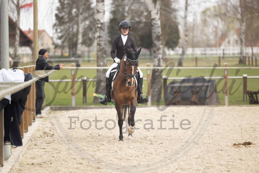 994A8697 | sabrinanicolaifotografie - Realisiert mit Pictrs.com