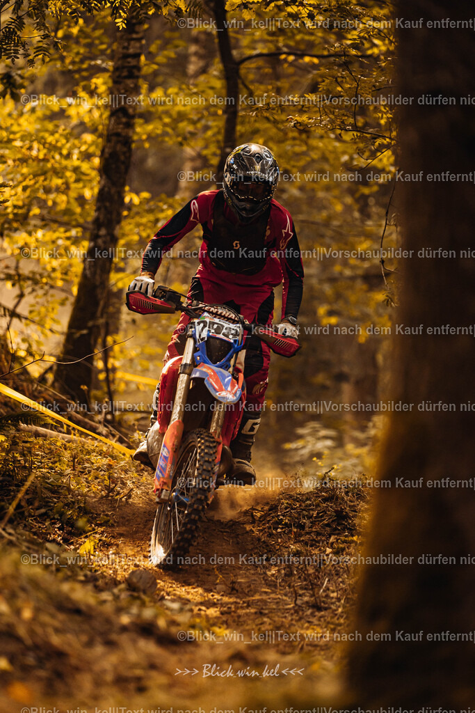 E68A4016 | blick_win_kel