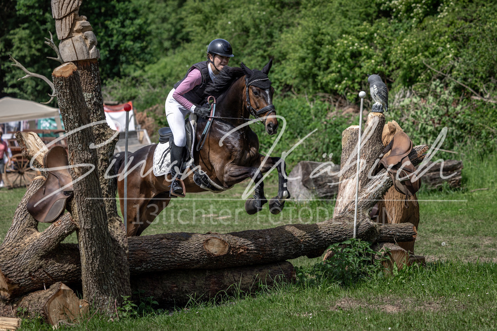 20260523-_3LI9138 | Tierfotografie Pferde, Hunde, Katzen, Haustiere.
Turnierfotografie Reitturniere, Reiten, Springreiten, Dressur in Hanau, dem Main-Kinzig-Kreis und dem Rhein-Main- Gebiet um Frankfurt