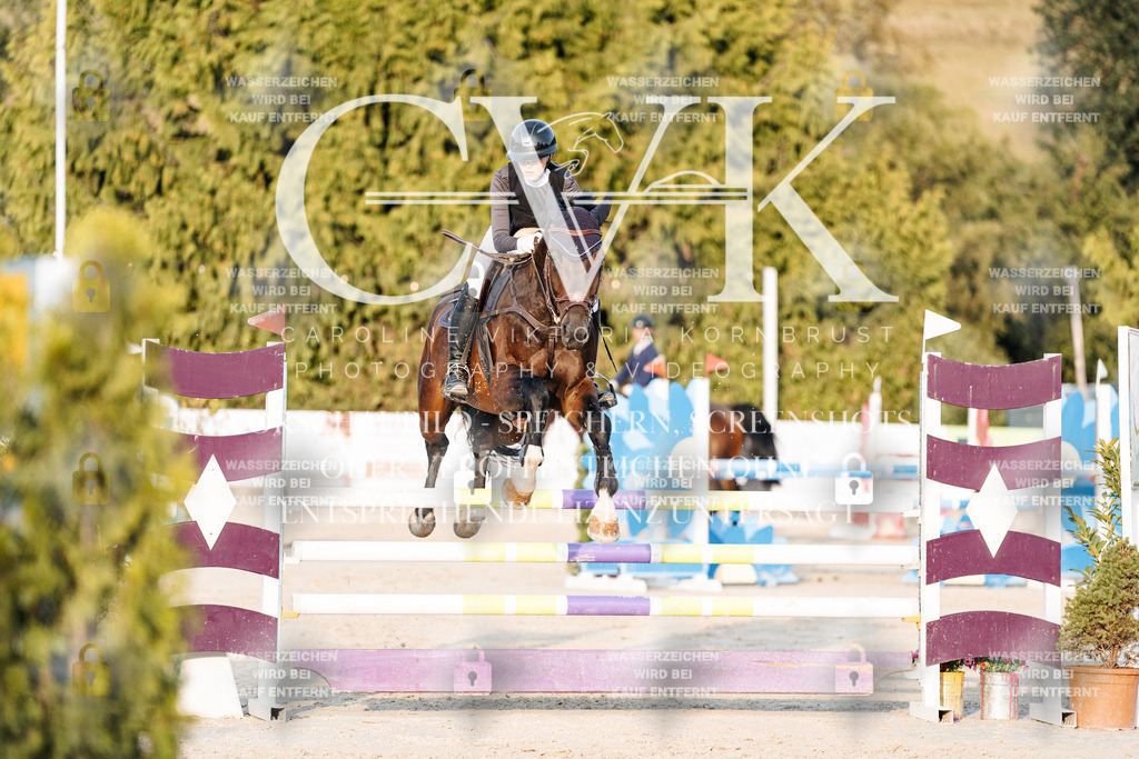 CK900958 | Turnierfotografie Pferdefotografie Trier Rheinland-Pfalz Pferdesport Reitsport Tierfotografie Sportfotografie Pferdevideo Pferdevideografie Equestrianvideography equestrianphotography  - Realisiert mit Pictrs.com