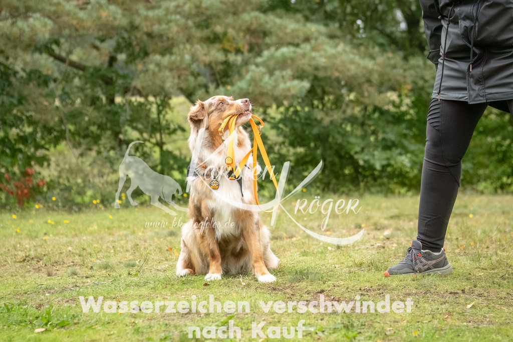 1459_ZZ93995-2-Bearbeitet | kk-dogfotos