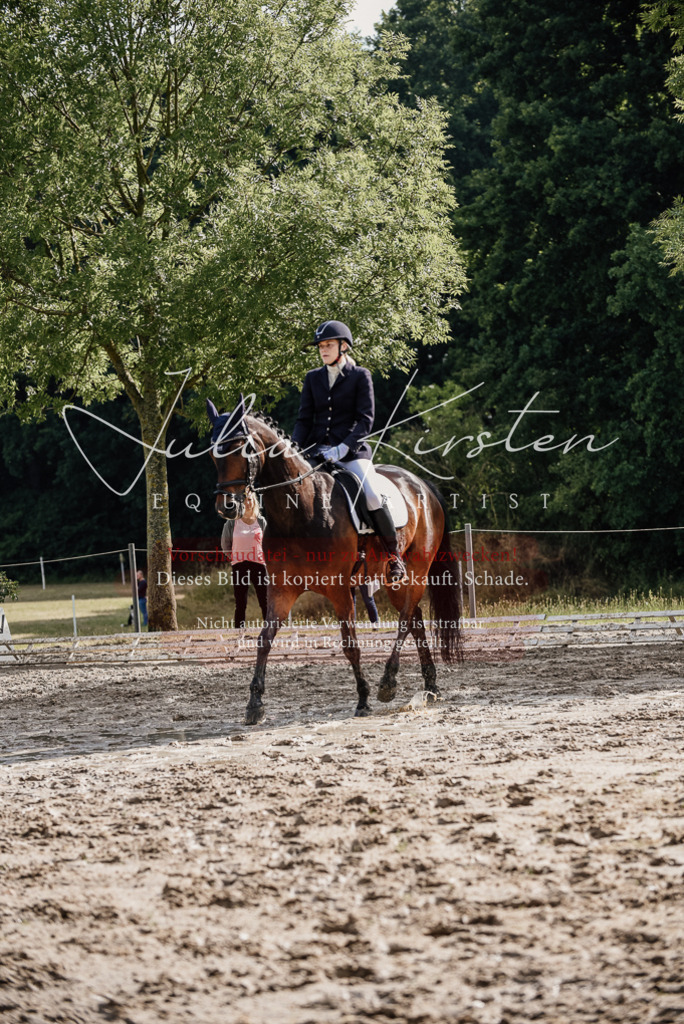 DSC_8815 | Pferde- und Turnierfotografie in Westsachsen. Pferdeportraits, Auftragszeichnungen und intuitive Kunst.