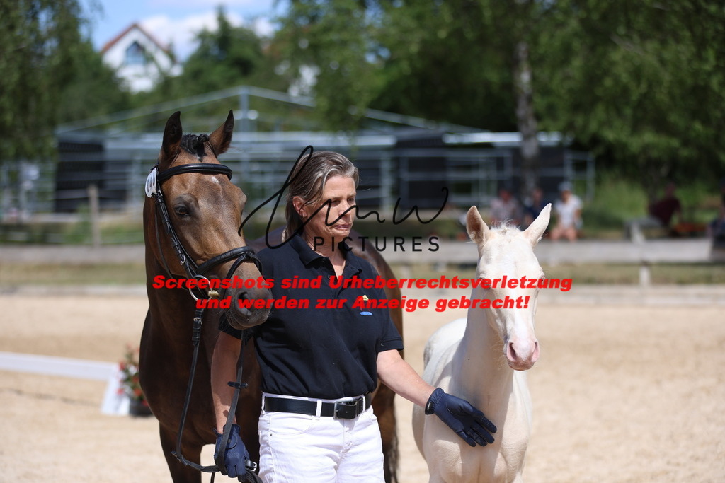 Fohlenschau_Schwäbisch_Hall_Ponys_KN 46_6 | lmwpictures - Realisiert mit Pictrs.com