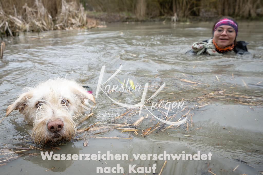 1412_ZZ97395 | kk-dogfotos
