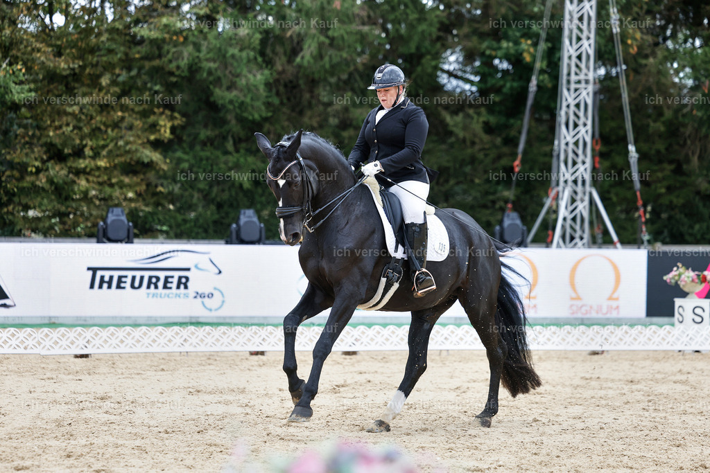 04_1-135-Dressur M__ -StoibPH-StoibPH-2681 | working equitationturnier fotograf videograf stoibphotography marixx film working equitation deutschland reitsport turnierfotografie eventfotografie equestrian events