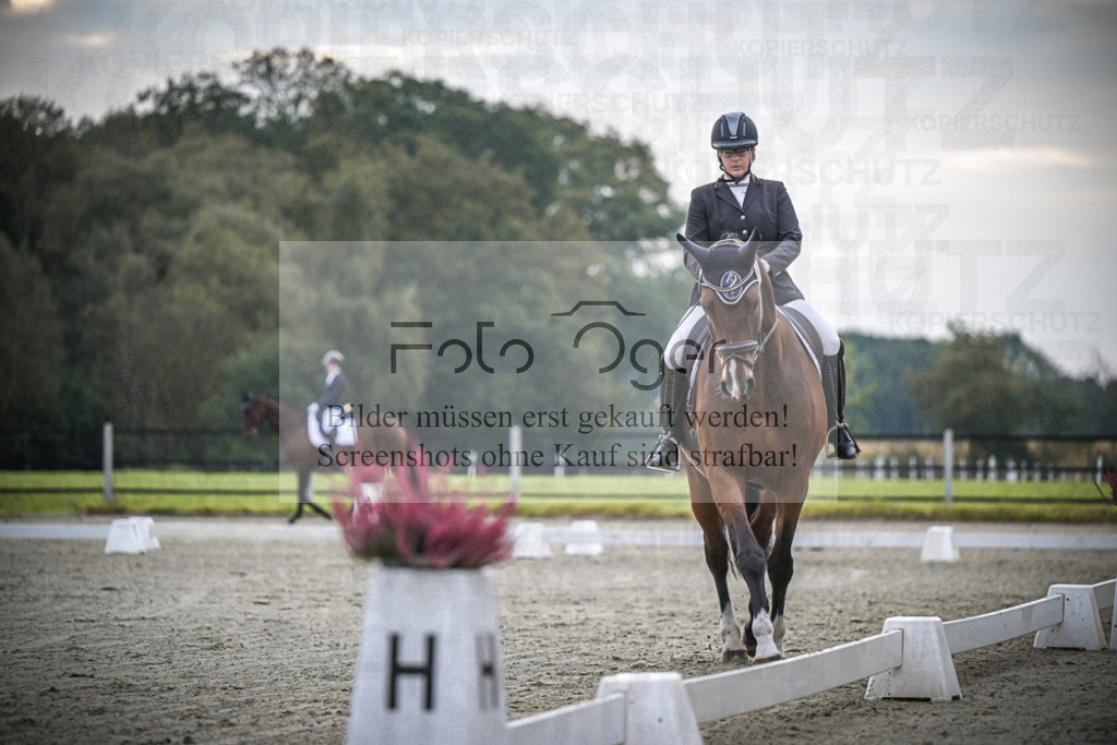 DOS_1119 | Entdecke hochwertige Reitturnierfotos von Foto Oger. Professionell, emotional und authentisch – jetzt Lieblingsmomente im Shop bestellen.Deutschlandweite Turnierfotografie. - Realisiert mit Pictrs.com