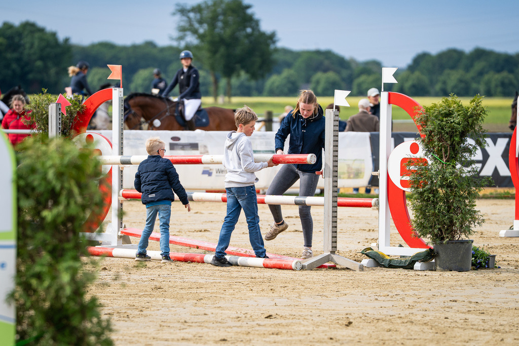 DSC03660 | Pferdegrafie