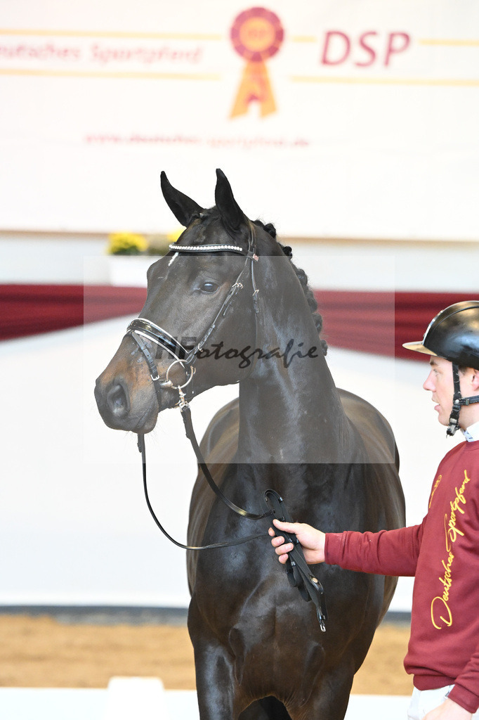 Kat-Nr. 40 v. Lord Europe_Bergmann_66221865 | hf-fotografie - Realisiert mit Pictrs.com