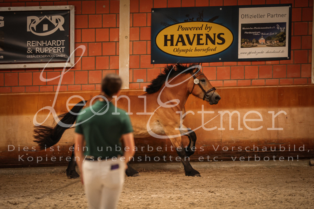 SaFL00304 | Leoni Ertmer Photography - Realisiert mit Pictrs.com