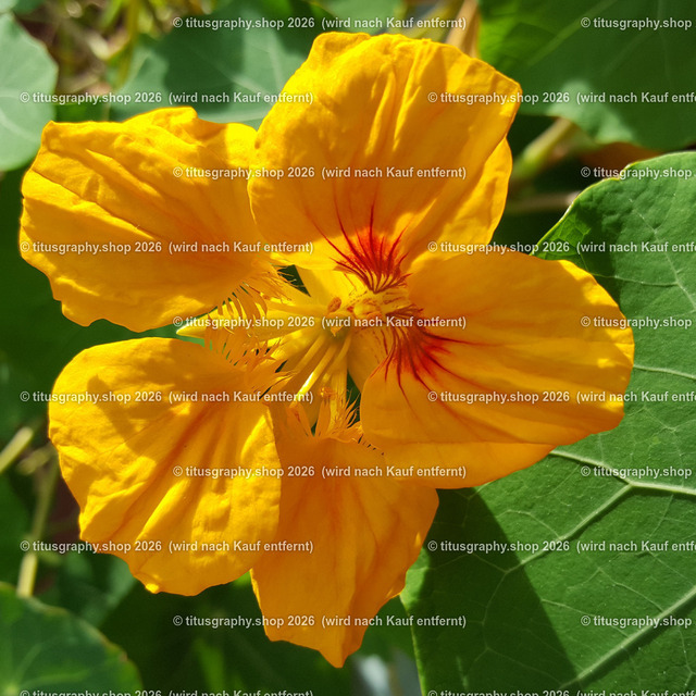 20191012_154942_edited | Fotokunstarbeit aus der INSTAGRAM-Gallerie auf titusgraphy.eu - Realisiert mit Pictrs.com