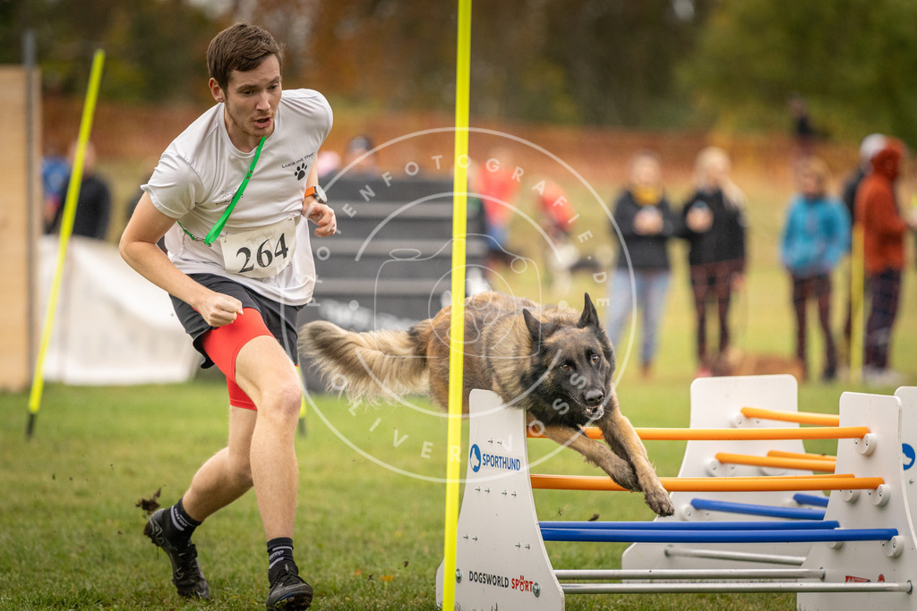 Pfotenfotografie_DV3A7000 | Hundefotografie, Tierfotograf, Pfotenfotografie, Fotoshooting Hund, Hunde Portrait, Hundesport, Hundeportraits, Heideshooting, Hunde, Sportfotograf, Hundefotograf, Turnierhundsport, THS,  - Realisiert mit Pictrs.com