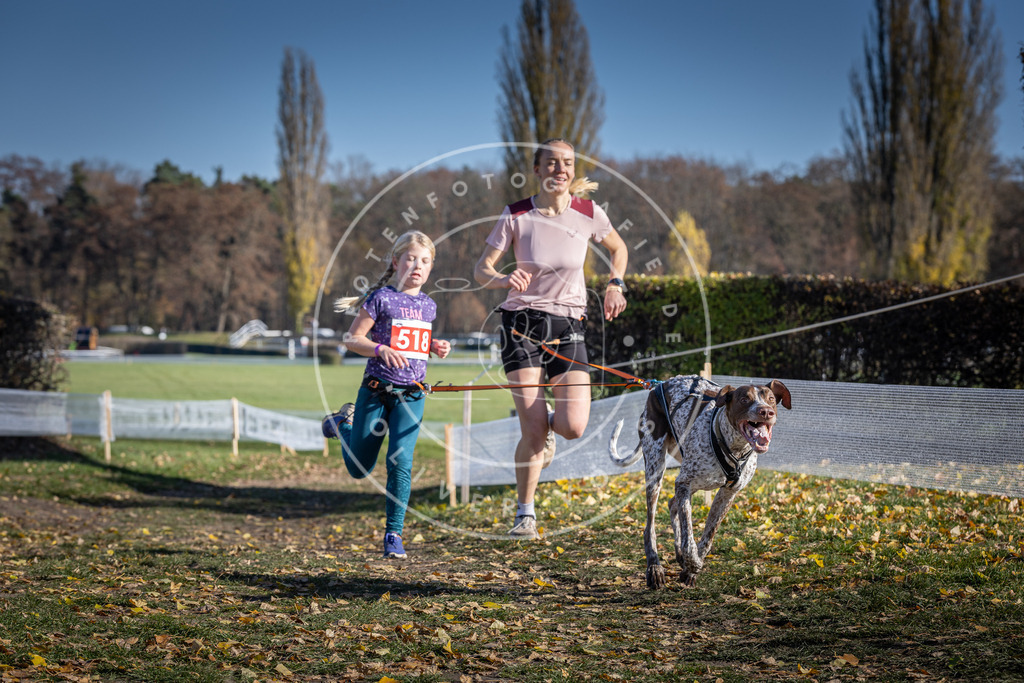 CaniXpix_DV3A8069 | Hundefotografie, Tierfotograf, Pfotenfotografie, Fotoshooting Hund, Hunde Portrait, Hundesport, Hundeportraits, Heideshooting, Hunde, Sportfotograf, Hundefotograf, Turnierhundsport, THS,  - Realisiert mit Pictrs.com
