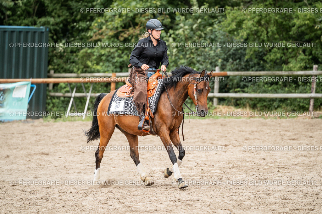 DSC01986 | Pferdegrafie