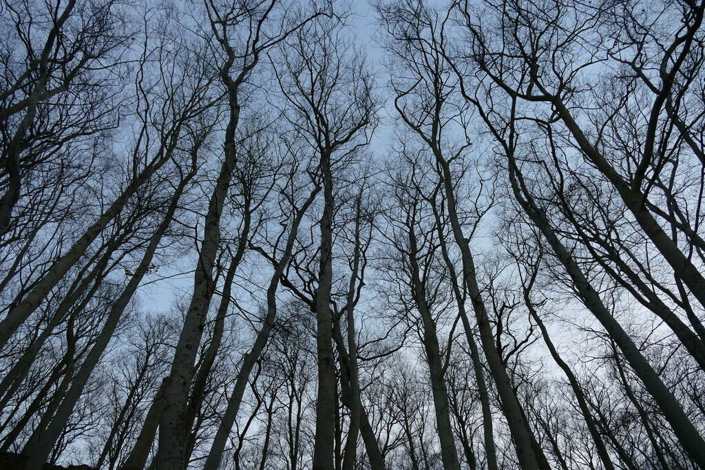 P1580135 | Annaeherungen - Realisiert mit Pictrs.com