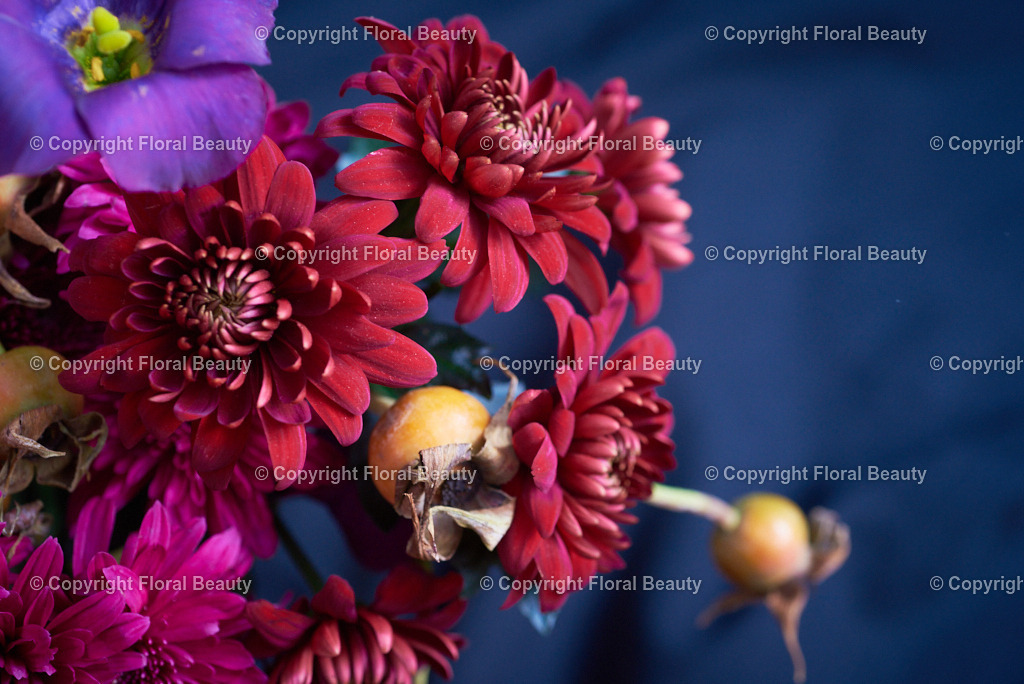 Rot-oranger Strauß aus Nelken und Chrysanthemen | Onlineshop für hochwertige Wandbilder. Bei uns findet ihr selbstgestaltete Blumenmotive. Das perfekte Geschenk, als Praxisdeko oder die eigene Wohnung. Alle künstlerischen Blumenfotos sind auf Leinwand, FineArtPrint, Kunstdruck und vielem mehr zu erwerben - Realisiert mit Pictrs.com