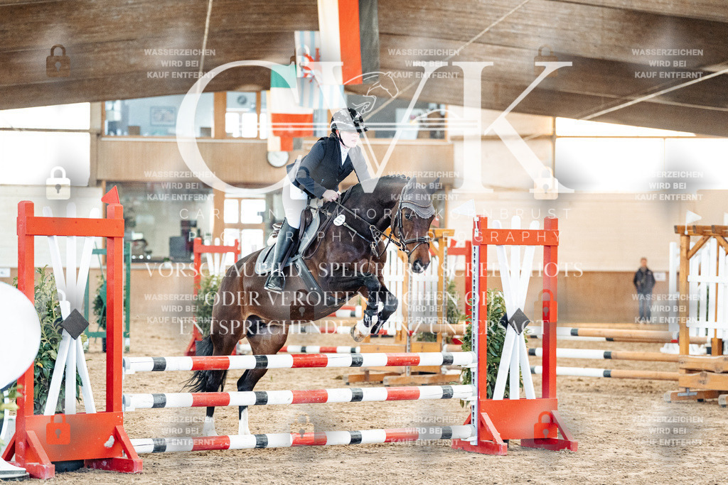 CK904017 | Turnierfotografie Pferdefotografie Trier Rheinland-Pfalz Pferdesport Reitsport Tierfotografie Sportfotografie Pferdevideo Pferdevideografie Equestrianvideography equestrianphotography  - Realisiert mit Pictrs.com