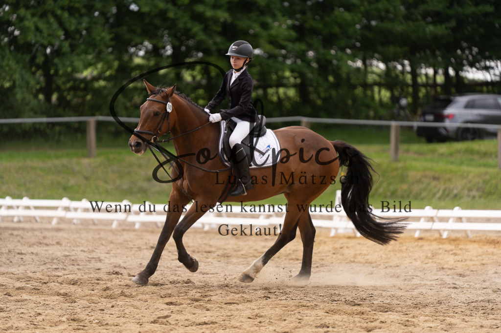 A7505962 | Turnier/Reitfotograf