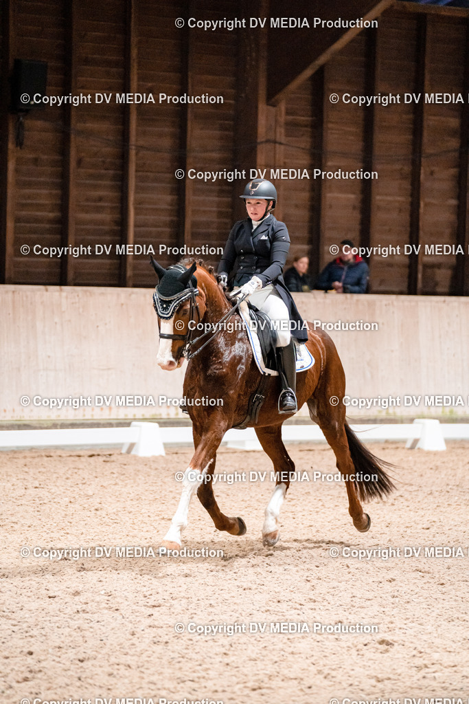 Dressur Tag 2-650 | dv-media-shop - Realisiert mit Pictrs.com