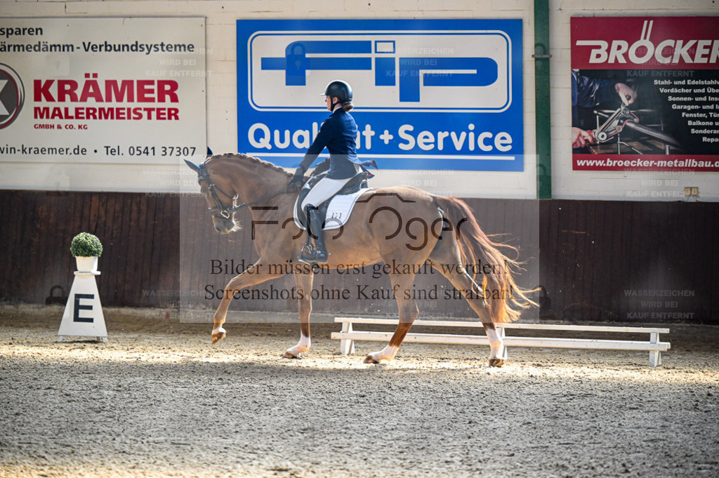 Reitturnier Voxtrup | Entdecke hochwertige Reitturnierfotos von Foto Oger. Professionell, emotional und authentisch – jetzt Lieblingsmomente im Shop bestellen. - Realisiert mit Pictrs.com