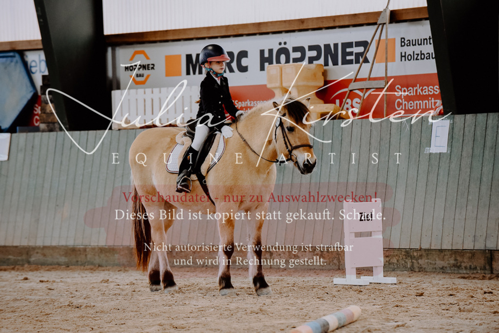 DSC_6745 | Pferde- und Turnierfotografie in Westsachsen. Pferdeportraits, Auftragszeichnungen und intuitive Kunst.