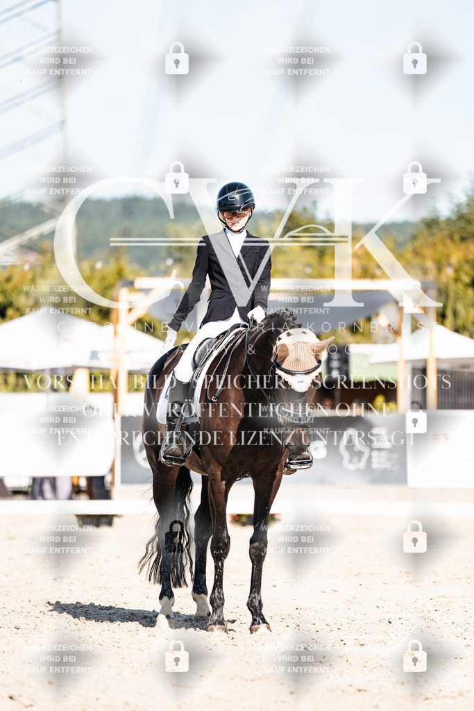 CK908373 | Turnierfotografie Pferdefotografie Trier Rheinland-Pfalz Pferdesport Reitsport Tierfotografie Sportfotografie Pferdevideo Pferdevideografie Equestrianvideography equestrianphotography  - Realisiert mit Pictrs.com