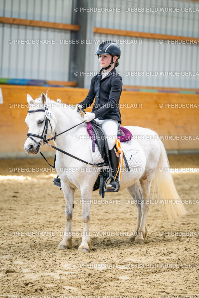 DSC02750 | Pferdegrafie