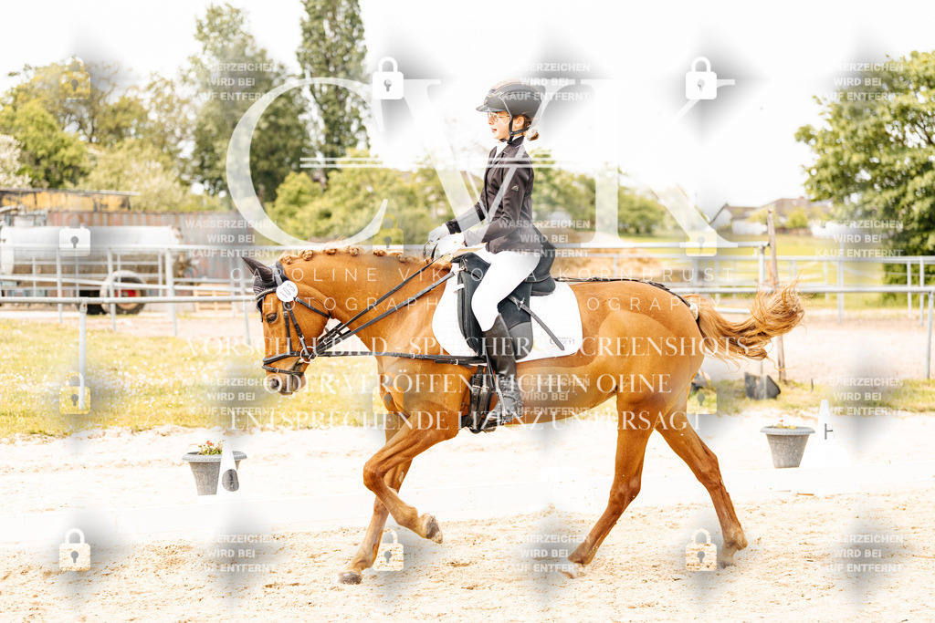 CK904637 | Turnierfotografie Pferdefotografie Trier Rheinland-Pfalz Pferdesport Reitsport Tierfotografie Sportfotografie Pferdevideo Pferdevideografie Equestrianvideography equestrianphotography  - Realisiert mit Pictrs.com