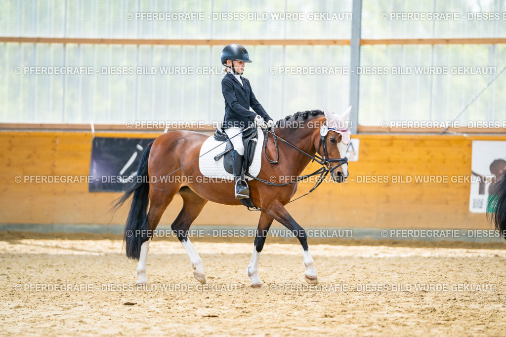 DSC01001 | Pferdegrafie