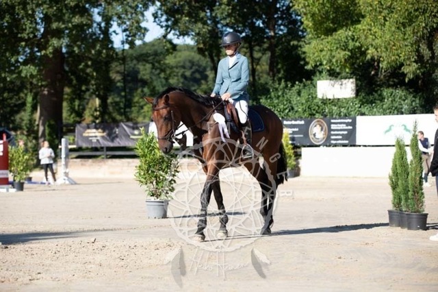 2B4A0717 | pixelfaenger - Realisiert mit Pictrs.com