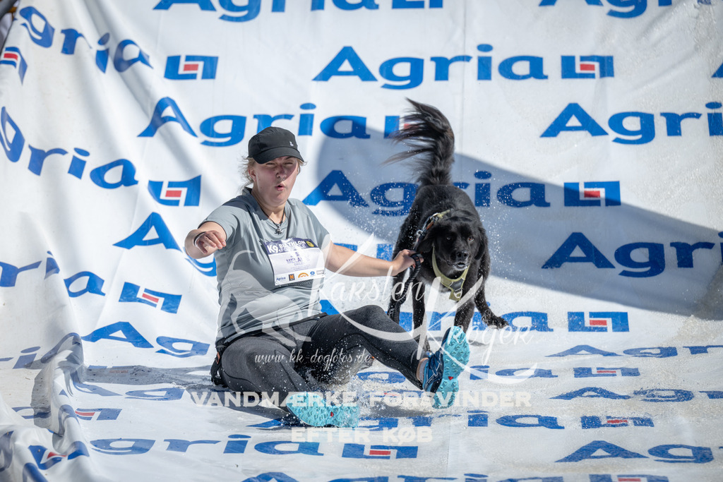 1129_ZZ92225 | kk-dogfotos