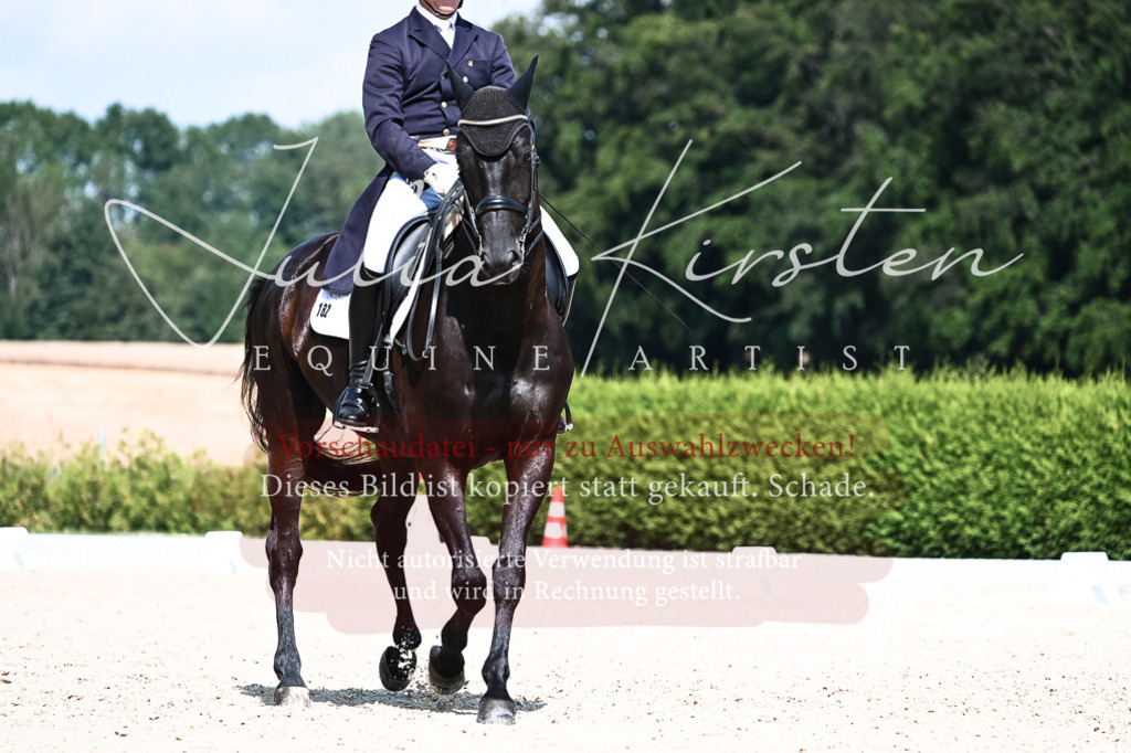 DSC_2995 | Pferde- und Turnierfotografie in Westsachsen. Pferdeportraits, Auftragszeichnungen und intuitive Kunst.