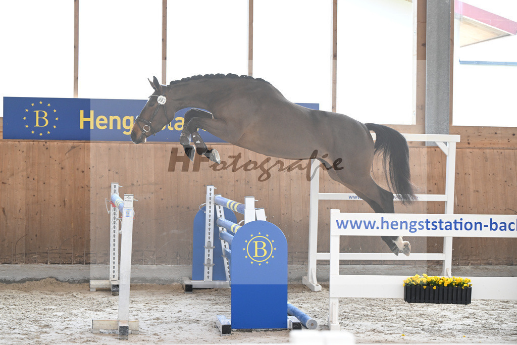 Kat-Nr. 63 Kelly du Tillard v. Aganix Du Seigneur_Keitel_14260374 | hf-fotografie - Realizzato con Pictrs.com