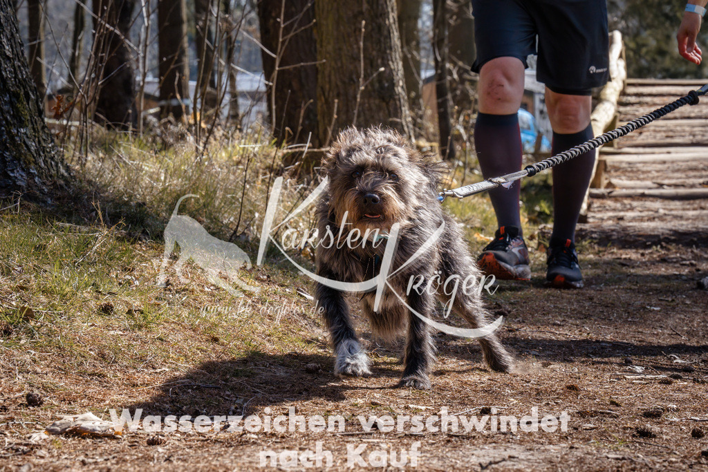 1314_ZZ94792 | kk-dogfotos