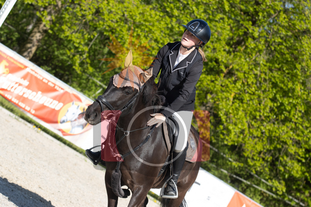 IMG_4633 | kraqueboom - Realisiert mit Pictrs.com
