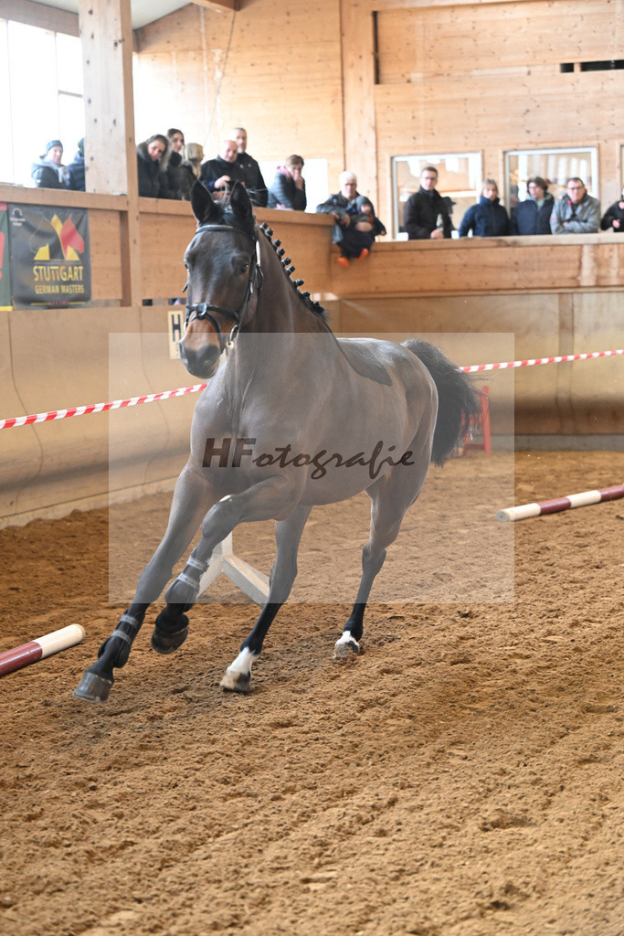 Kat-Nr. 33 Carassina S v. Chinchero_Schaefer_16250850 | hf-fotografie - Realizzato con Pictrs.com