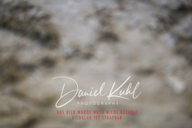 IMG_7416 | Turniersportfotografie; Pferdefotografie; Dressurfotografie