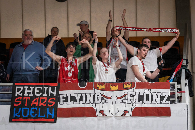 Barmer 2. Basketball Bundesliga ProA: Bayer Giants Leverkusen vs. RheinStars Koeln, 04.04.26 | Leverkusen, 04.04.26 - Der Fanclub Flying Flöz der RheinStars Köln während des Spiels der Barmer 2. Basketball Bundesliga ProA: Bayer Giants Leverkusen vs. RheinStars Koeln in der Ostermann Arena in Leverkusen.