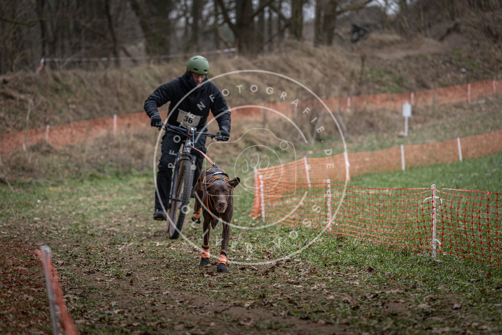 Pfotenfotografie_DV3A9716 | Hundefotografie, Tierfotograf, Pfotenfotografie, Fotoshooting Hund, Hunde Portrait, Hundesport, Hundeportraits, Heideshooting, Hunde, Sportfotograf, Hundefotograf, Turnierhundsport, THS,  - Realisiert mit Pictrs.com