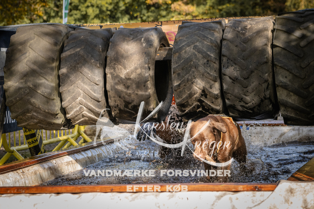 1200_ZZ94012 | kk-dogfotos