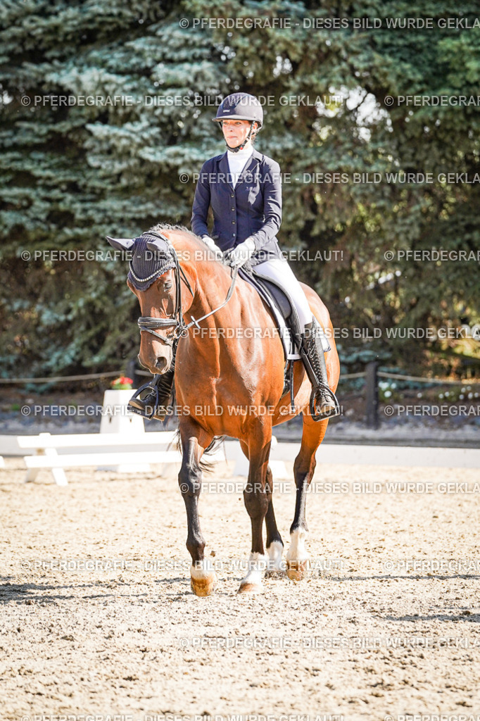 DSC00098 | Pferdegrafie