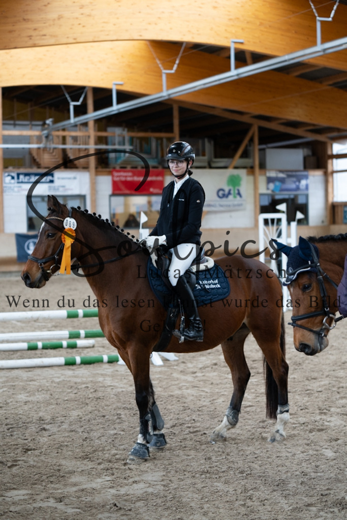 A7V00725 | Pferdefotograf