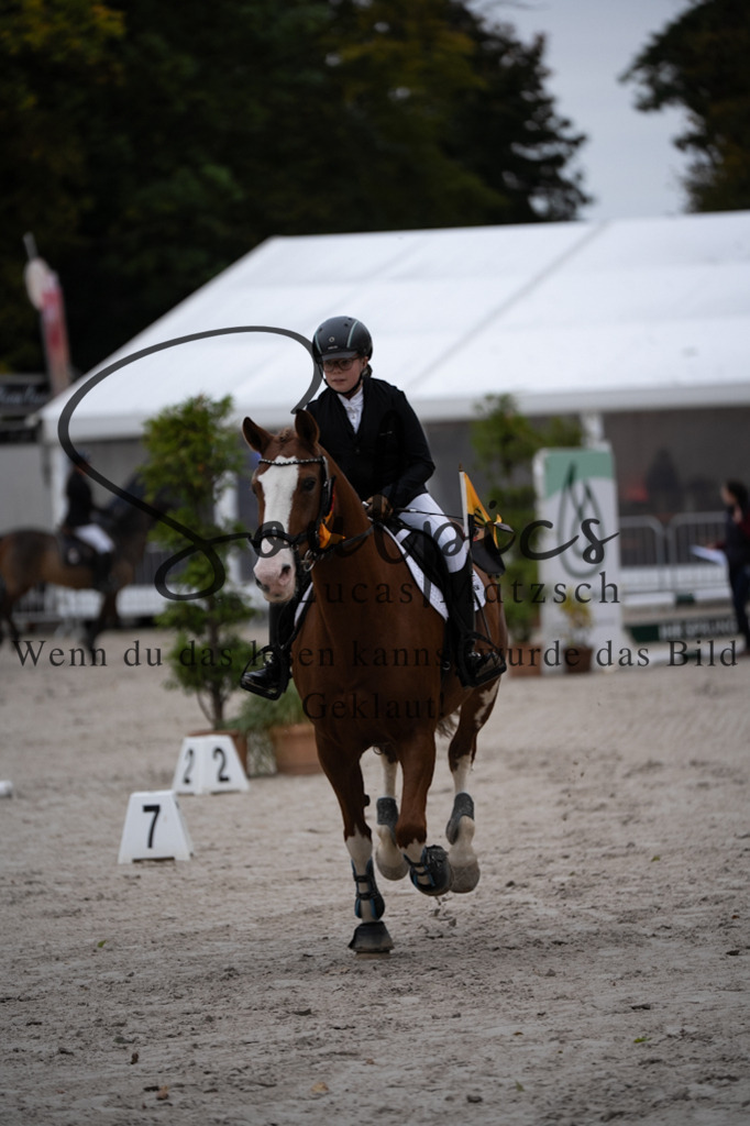 A7V08527 | Pferdefotograf