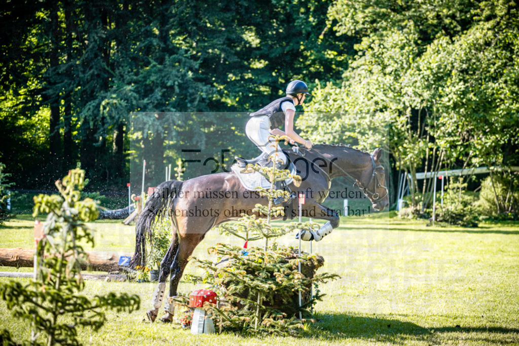 2026-05 - Melle Oldendorf | Entdecke hochwertige Reitturnierfotos von Foto Oger. Professionell, emotional und authentisch – jetzt Lieblingsmomente im Shop bestellen.Deutschlandweite Turnierfotografie. - Realisiert mit Pictrs.com