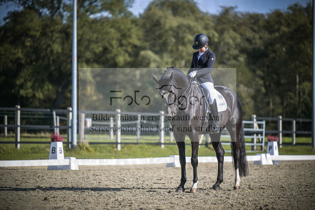 DOS_2856 | Entdecke hochwertige Reitturnierfotos von Foto Oger. Professionell, emotional und authentisch – jetzt Lieblingsmomente im Shop bestellen.Deutschlandweite Turnierfotografie. - Realisiert mit Pictrs.com
