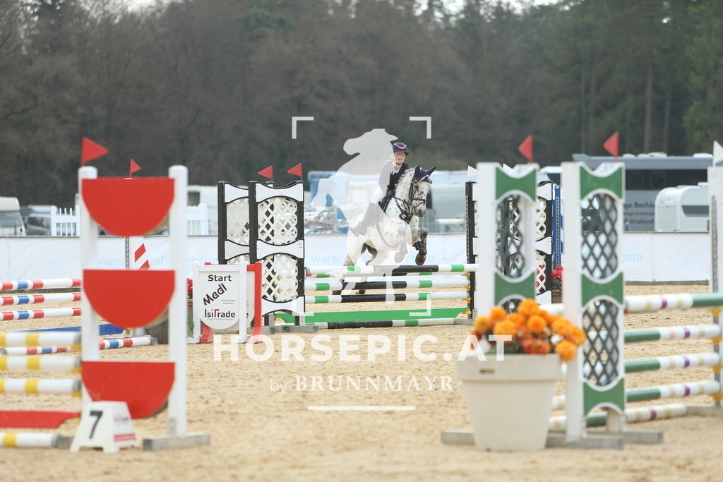 DL2Q2361 | Willkommen bei Brunnmayr - Design & Fotografie – Ihrem Spezialisten für Reitturniere und Pferdeveranstaltungen in Oberösterreich, Salzburg und Bayern! Seit über 17 Jahren sind wir leidenschaftlich dabei.