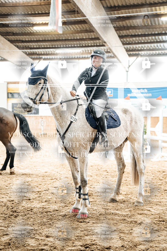 CK702897 | Turnierfotografie Pferdefotografie Trier Rheinland-Pfalz Pferdesport Reitsport Tierfotografie Sportfotografie Pferdevideo Pferdevideografie Equestrianvideography equestrianphotography  - Realized with Pictrs.com