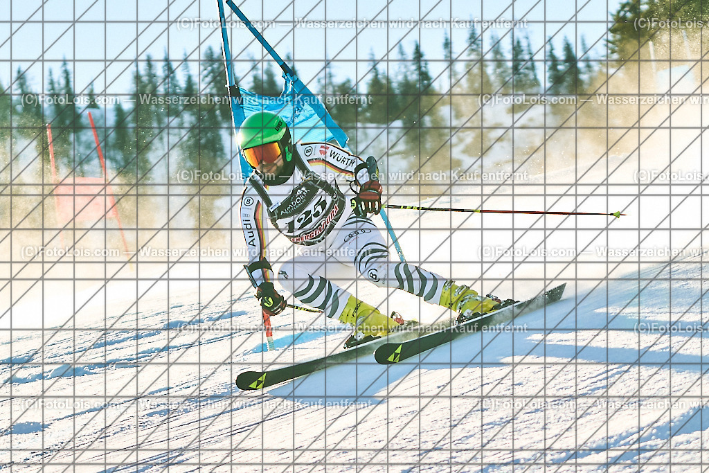 ALP1265_FIS-MastersCup_Reiteralm_Giant-SL_Mayer Johann | FIS-MastersCup GIANT-SLALOM auf der Reiteralm in Pichl, Sa 18. Jänner 2025.